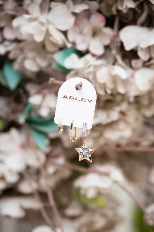 Gümüş Taşlı Yıldız Detaylı Gold Küpe Seti