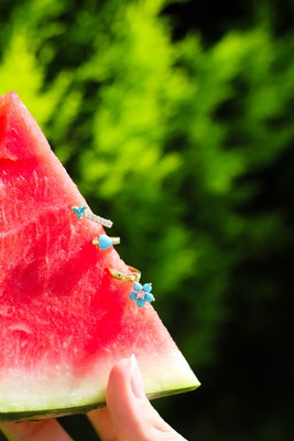 Kalpli Çiçekli Mavi Taş Üçlü Küpe Seti