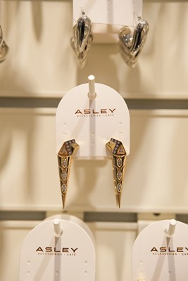 Taşlı İki Renkli Yılan Tasarım Sabit Küpe