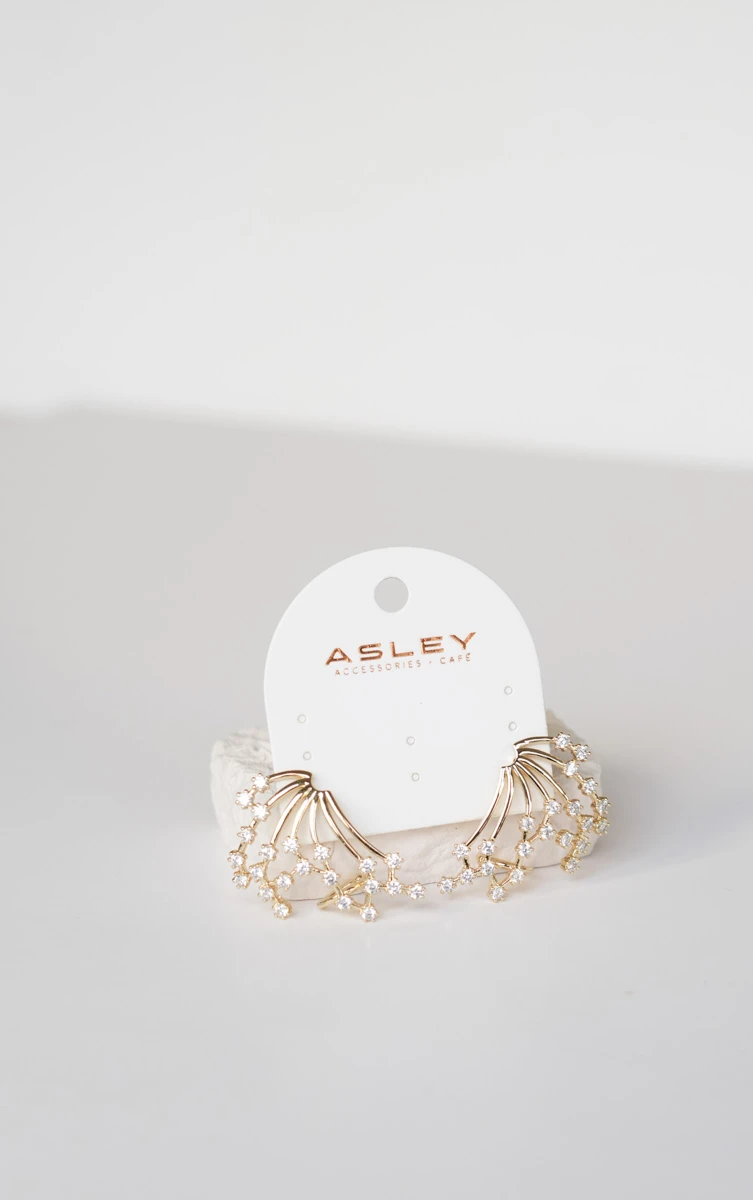 Uç Kısmı Taşlı Kanat Tasarım Gold Küpe