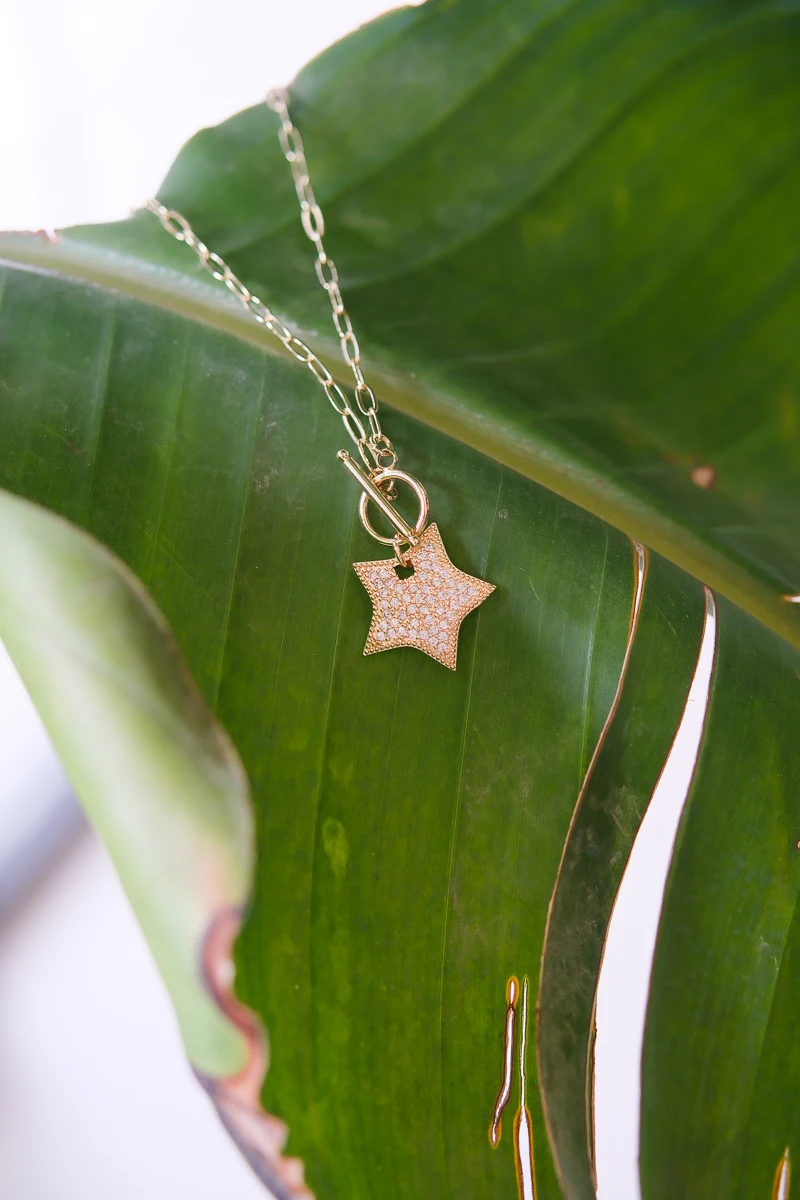 Taşlı Büyük Yıldız Detaylı Gold Kolye