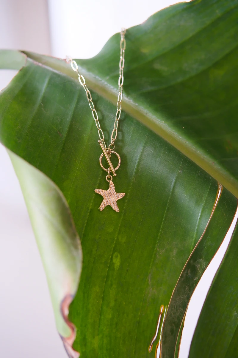 Taşlı Deniz Yıldızı Detaylı Gold Kolye